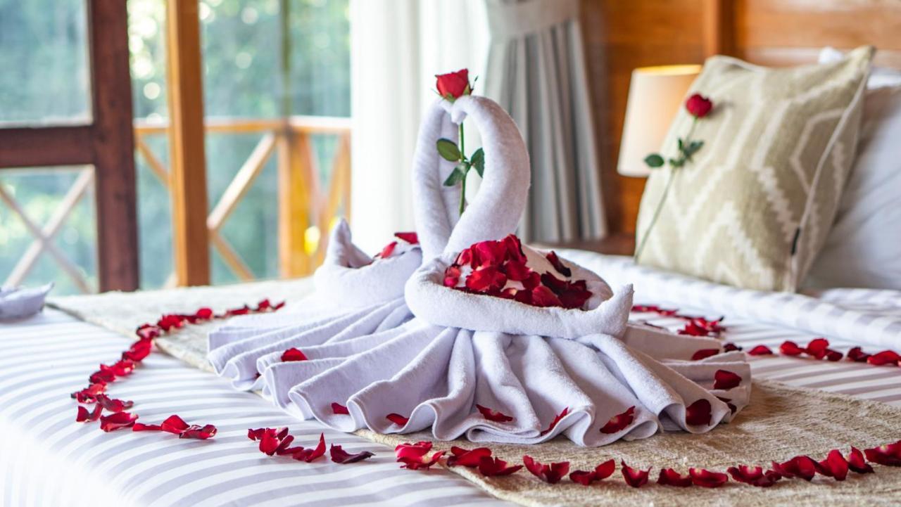 Anja Villas Ubud Tegallalang  Kültér fotó