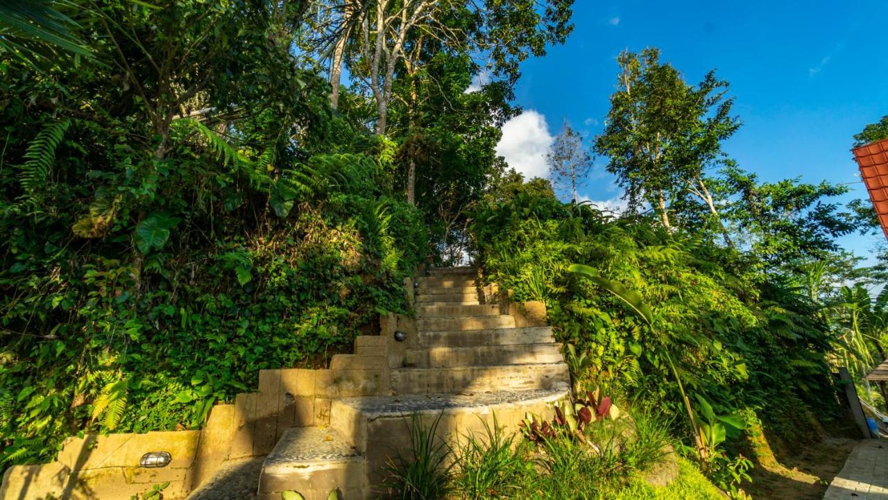 Anja Villas Ubud Tegallalang  Kültér fotó